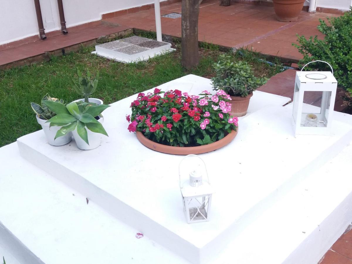 Casa Agrumeto - Locazione Turistica مونديلّو المظهر الخارجي الصورة