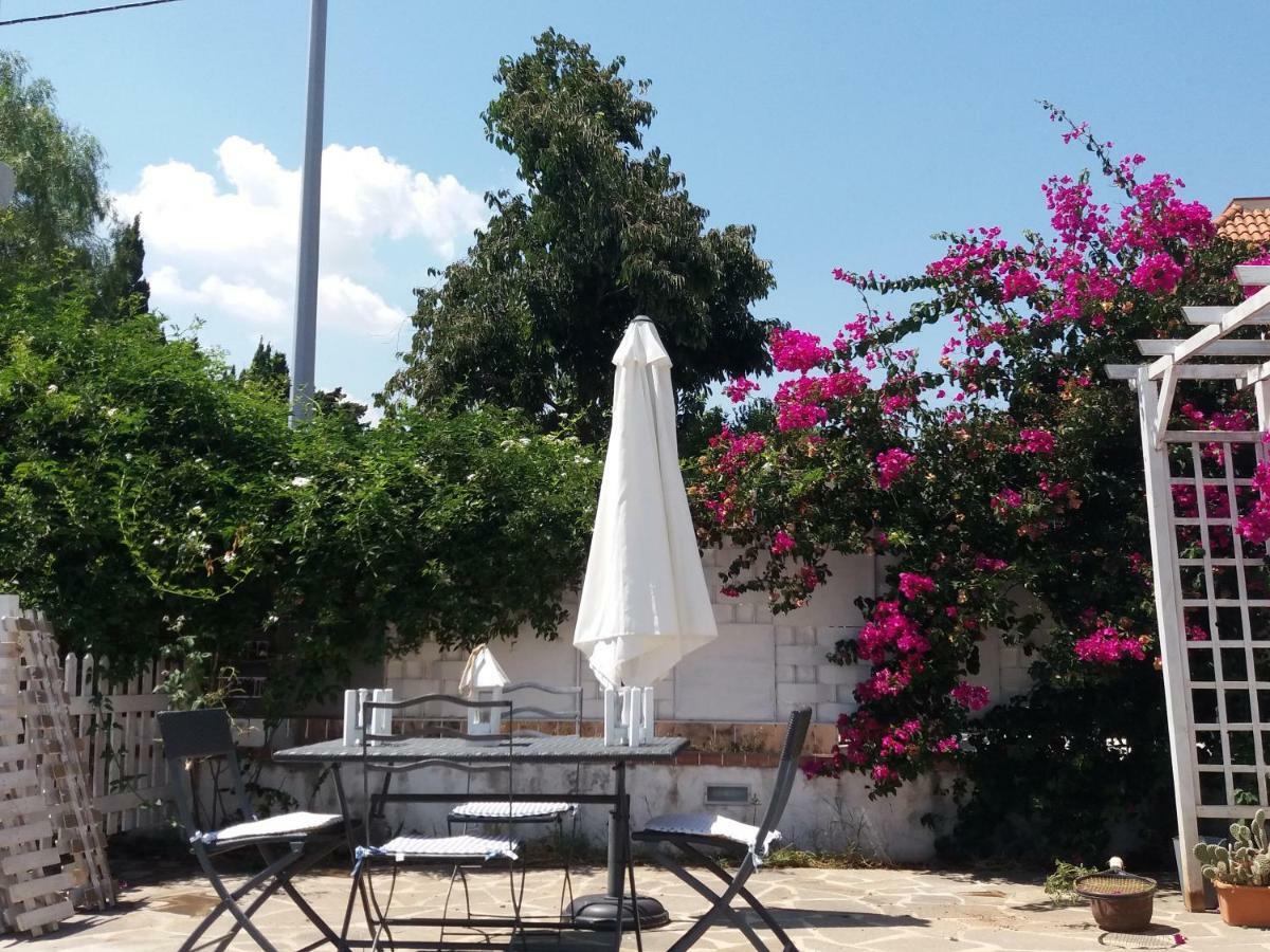 Casa Agrumeto - Locazione Turistica مونديلّو المظهر الخارجي الصورة
