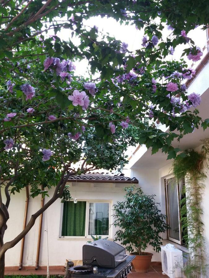 Casa Agrumeto - Locazione Turistica مونديلّو المظهر الخارجي الصورة